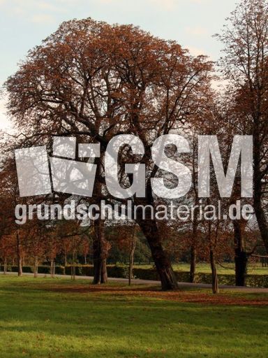 B-Herbststimmung 098.jpg